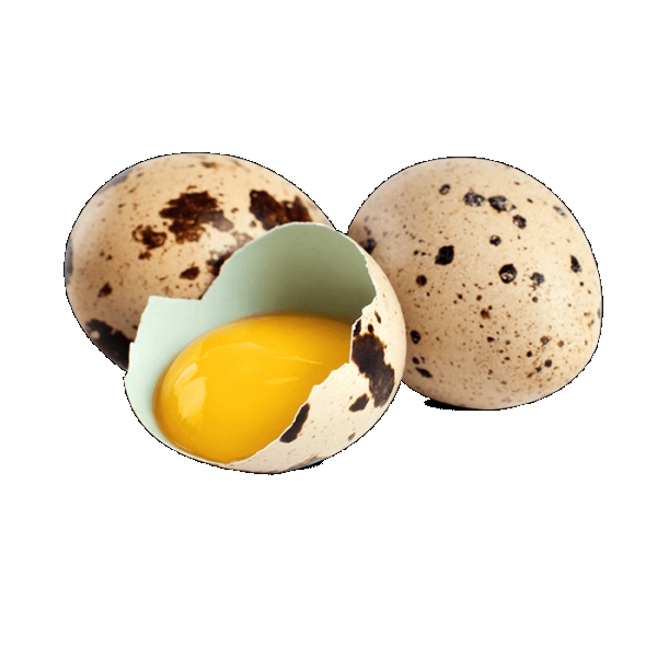 Fürjtojás